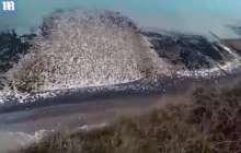 Жігіт парашютпен құздан секірді: бұл оның өміріндегі соңғы сәті болуы мүмкін