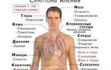 Пайдалы кеңес жинағы
		Анемиядан арылу жолдары