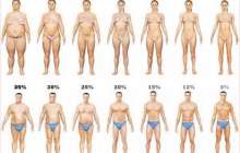 Арықтау барысында ең керек кеңестер