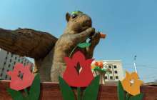 Алматылық Тиін әлеуметтік желіде пост "жазды"