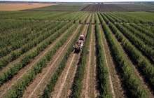 Ұлттық кеңес жер мәселесін талқылайды – үкімет