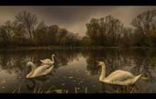 М.Мақатаев " Аққулар ұйықтағанда" поэмасын талдау