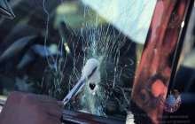 Шымкентте бизнесменді көшенің ортасында өлтіріп кетті