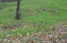 "Показуха деген осы". Қу шенеунік фотошоппен қоқыстың "көзін құртты" (фото)