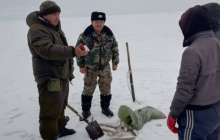 Алматы облысында заңсыз балық тасымалдағандар ұсталды