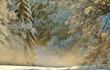 14:14Еліміздің аумағына аномальды жылудан кейін қайтадан суық келеді