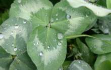 Нұр-Сұлтан, Шымкент, Алматы, Түркістан, Маңғыстау, Атырау