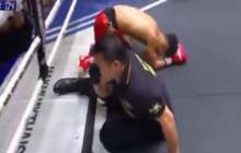 Боксшы қарсыласымен бірге төрешіні де нокдаунға түсірді