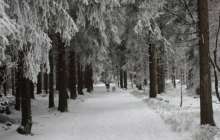 Қазақстанның оңтүстік және шығыс аймақтарында қатты қар жауады