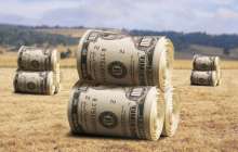 Өңдеу және агро-сала кәсіпкерлеріне 11%-бен 600 млрд теңге бөлінеді – Д.Ақышев