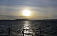 Суға шомылған ер адамды бактериялар жеп қойды