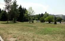 Алматыда Конгресс-холл салу үшін ағаштарды отай ма?