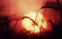 Синоптиктер тарихта болмаған ыстық келуі мүмкін екенін ескертті