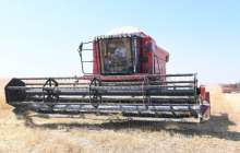 Түркістан облысы әкімі Өмірзақ Шөкеев астық жинауға қатысты