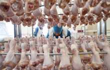 Нығматулин Қазақстанның ет пен сүтті шетелден импорттап отырғанына қапаланды