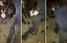 Байқоңырда тепкілеп, құрбысының шашын қиған қыздар табылды