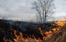 ТЖК өрт қаупі жоғары облыстарды атады