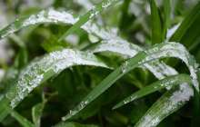 Ауа райы болжамы: 23, 24, 25 мамыр