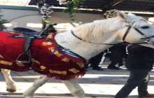 Байлығы тасыған қазақтардың ұлан-асыр тойы жұрттың жағасын ұстатты