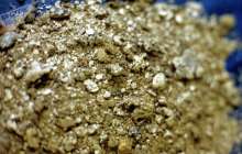 Австралияда ер адам 1,4 килограмм саф алтын тауып алды