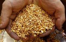 ШҚО-да алтын өндіретін кәсіпорын іске қосылды