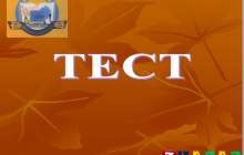 Презентация (слайд): Информатика | PowerPoint туралы тест