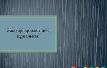 Презентация (слайд): Жануарлардың ішек құрылысы