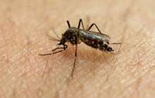 Жандарбек Бекшин Нұр-Сұлтанда неге маса қаптап кеткенін түсіндірді