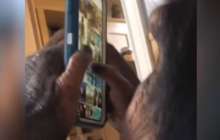 Instagram-да тіркелген ақылды маймыл танымал бола бастады - күлкілі видео