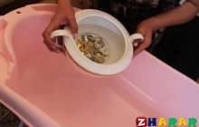 Салт-дәстүр: Шарана шайқау