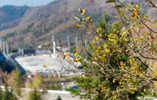 15 қыркүйекте қандай іс-шаралар өтеді