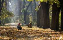 Ауа райы болжамы: 15 қыркүйек