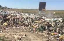 Алматы іргесінде қоқыс полигоны өртеніп жатыр