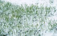 Ауа райы болжамы: 14, 15, 16 мамыр