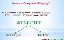 Презентация (слайд): ЖЕМІСТЕР