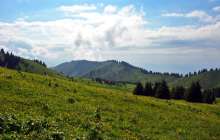 Белсенділер Көкжайлауды дамыту жобасын ұсынды