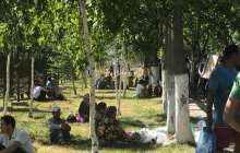 Арыстан көшкендердің кейбірі үкіметтен "мардымды көмек жоғына" шағынды