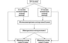 Компьютерде физика есептерін шығаруды оқушылардың жекелеп орындауы