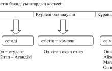 Қазақ тіліндегі предикаттық, посессивтілік өрістері