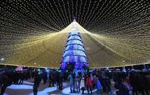 Шымкент әкімі шыршаға деп 35 млн бөлдірген