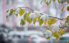 Қазақстанның үш облысында дабылды ескерту жарияланды