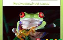 Презентация (слайд): Биология|Қосмекенділер класы