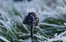 Ауа райы болжамы: 3, 4, 5 қыркүйек