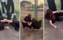 «Басынан теуіп, шашынан жұлған»: Маңғыстауда оқушы қыздар бір-бірін аяусыз ұрып-соққан 