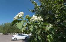 4, 5, 6 мамырға ауа райы болжамы