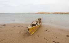 Аралдың төңірегіндегі халықтың тұрмысы жақсарды