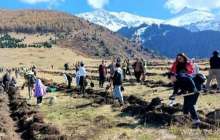 Қырғыз азаматы әкесіне арнап 14 мың түп ағаш отырғызды