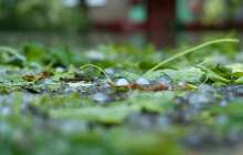 2 мамырға арналған ауа райы болжамы