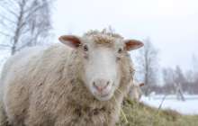 26-28 қарашаға арналған ауа райы болжамы