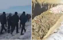 "Біз мұсылманбыз деп айтамыз": Атырау облысында халық шошқа шаруашылығын жабуды сұрап жатыр